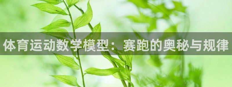 3377体育在线：体育运动数学模型：赛跑的奥秘与规律