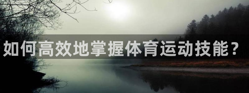 3377体育平台：如何高效地掌握体育运动技能？