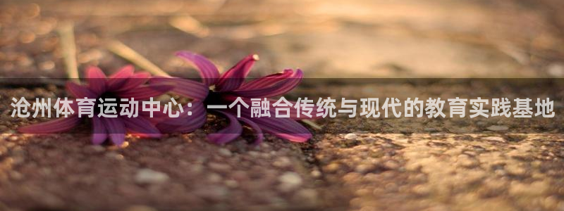 3377体育app官方下载：沧州体育运动中心：一个融合传统与现代的教育实践基地