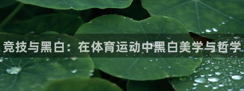 3377体育app官方下载：竞技与黑白：在体育运动中黑白美学与哲学