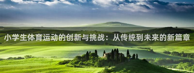 3377体育手机平台：小学生体育运动的创新与挑战：从传统到未来的新篇章