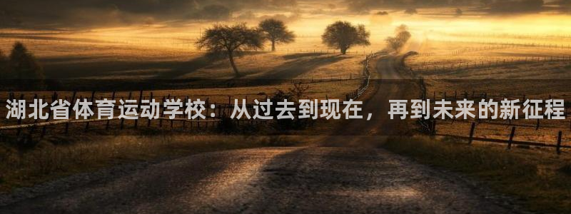 3377体育com：湖北省体育运动学校：从过去到现在，再到未来的新征程