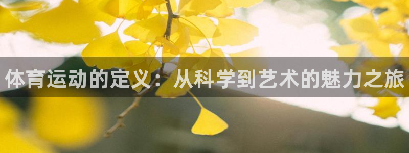 3377体育app官网下载地址：体育运动的定义：从科学到艺术的魅力之旅