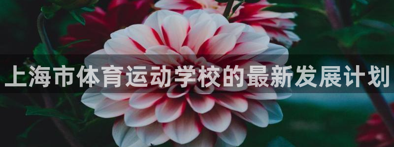 3377体育网页登录入口：上海市体育运动学校的最新发展计划