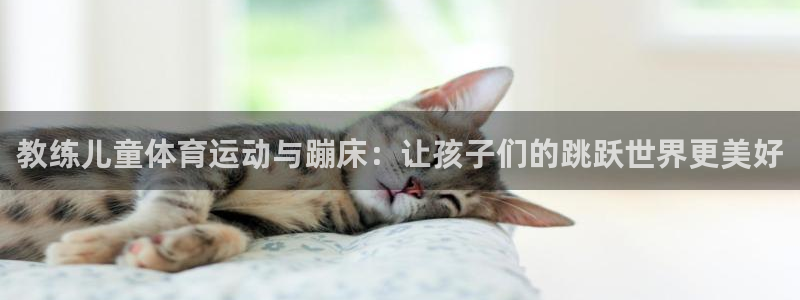 3377体育com：教练儿童体育运动与蹦床：让孩子们的跳跃世界更美好