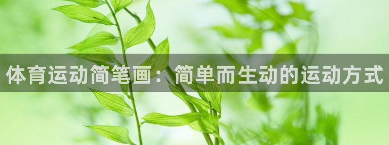 3377体育全网：体育运动简笔画：简单而生动的运动方式