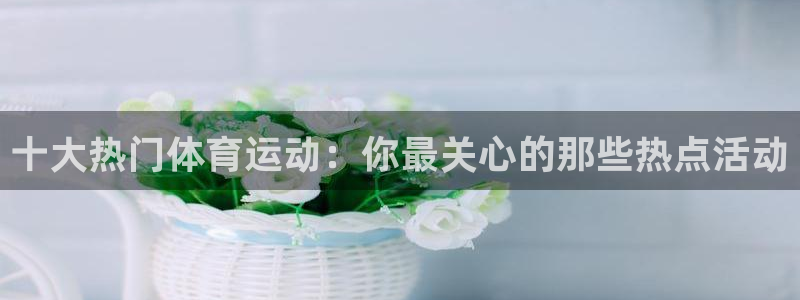 3377体育靠谱吗：十大热门体育运动：你最关心的那些热点活动