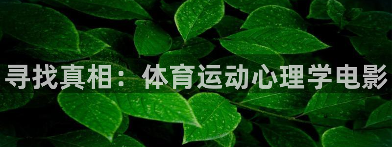 3377体育在线