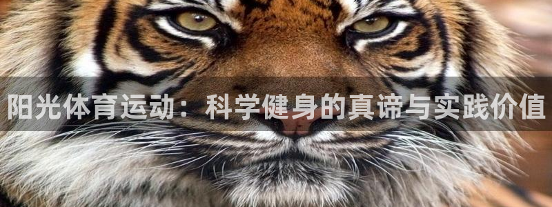 3377体育平台：阳光体育运动：科学健身的真谛与实践价值