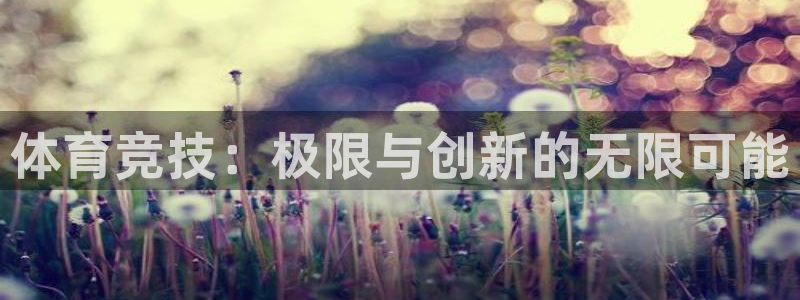 3377体育官网