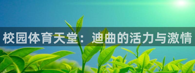 3377体育官网入口下载最新