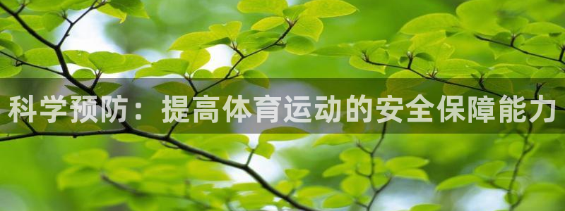 3377体育全网