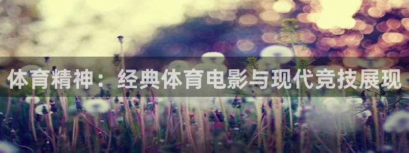 3377体育官方app下载