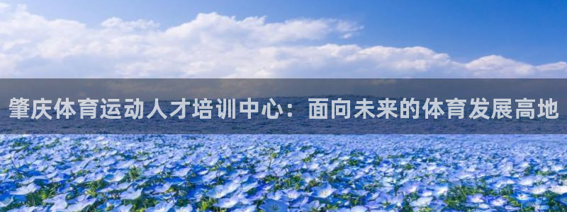 3377体育(中国)官方网站