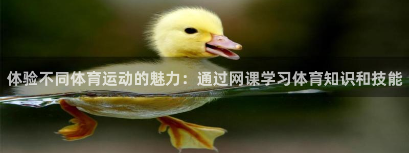 3377体育com