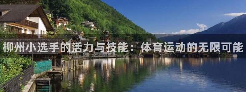 3377体育app登录入口