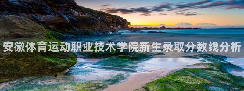 3377体育中国官方网站入口
