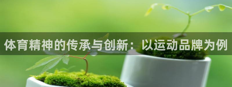 3377体育官网入口网页版