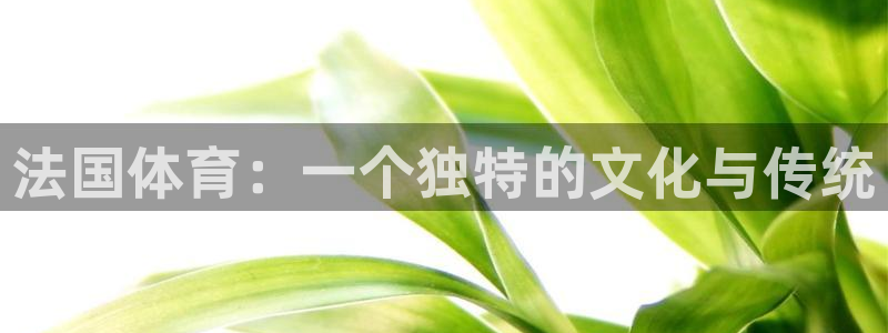 3377体育靠谱吗