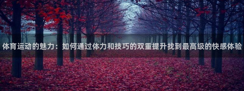 3377体育官网入口网页版
