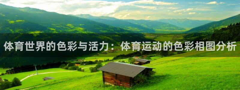 3377体育全网：体育世界的色彩与活力：体育运动的色彩相图分析