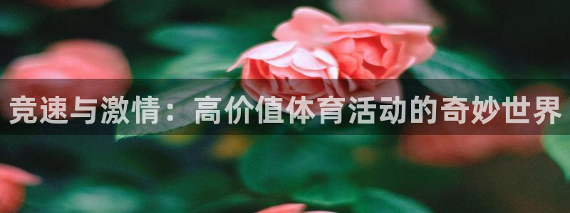 3377体育app官方下载：竞速与激情：高价值体育活动的奇妙世界