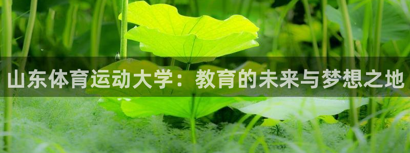 3377体育靠谱吗：山东体育运动大学：教育的未来与梦想之地