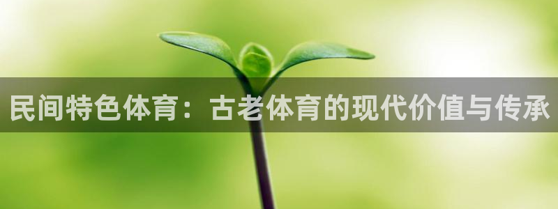 3377体育官网入口网页版：民间特色体育：古老体育的现代价值与传承