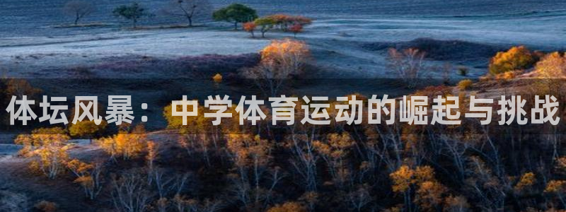 3377体育app下载安装：体坛风暴：中学体育运动的崛起与挑战