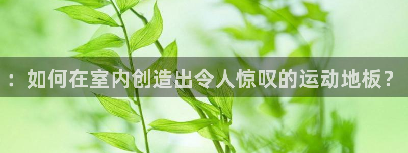 3377体育官网入口网页版
