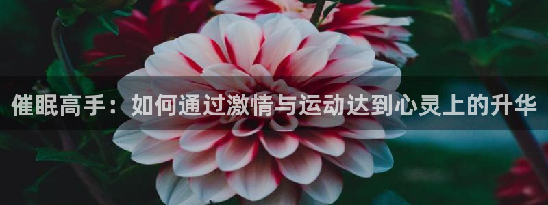 3377体育网页登录入口