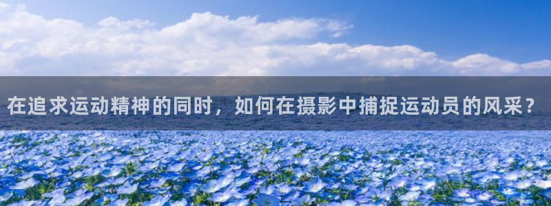 3377体育com