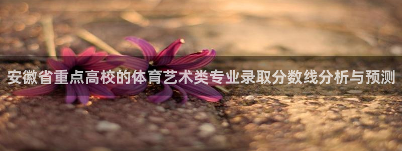 3377体育全网