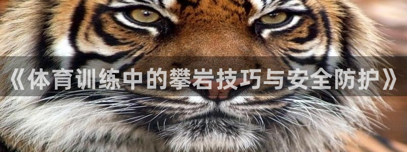 3377体育在线