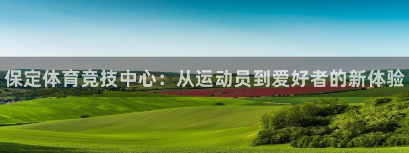 3377体育全网
