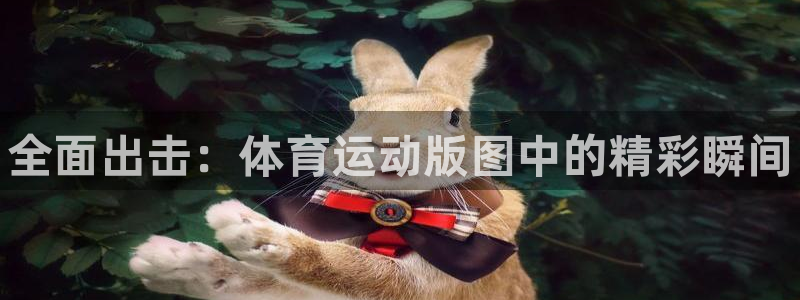 3377体育在线