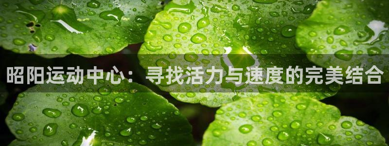 3377体育在线登录官网入口