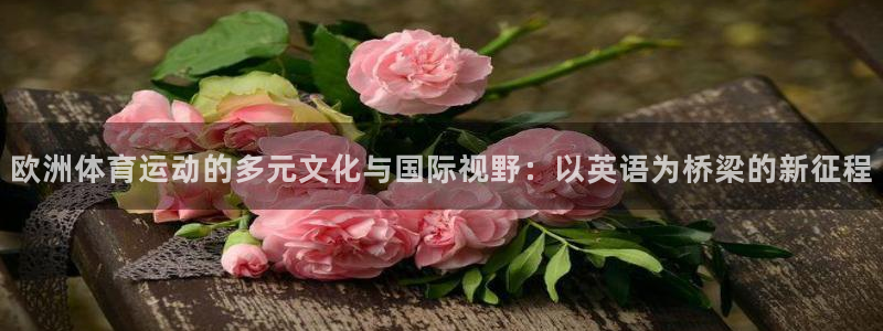 3377体育是正规平台吗