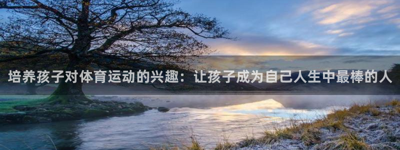 3377体育官网下载