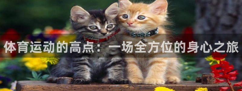 3377体育app官方下载