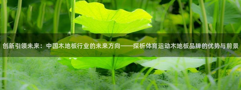 3377体育官方app下载