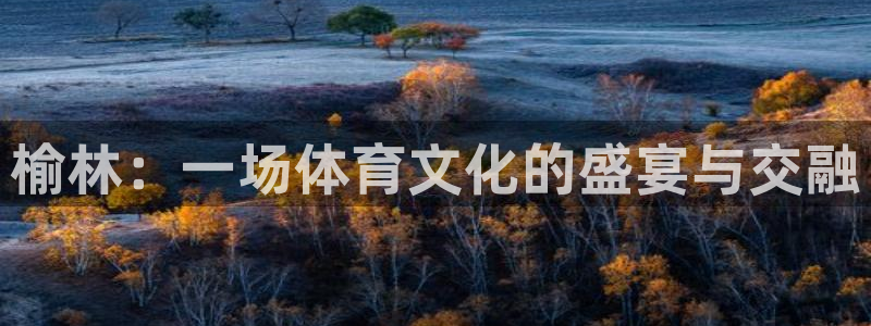 3377体育中国官方网站入口