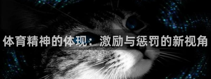 3377体育官网入口网页版
