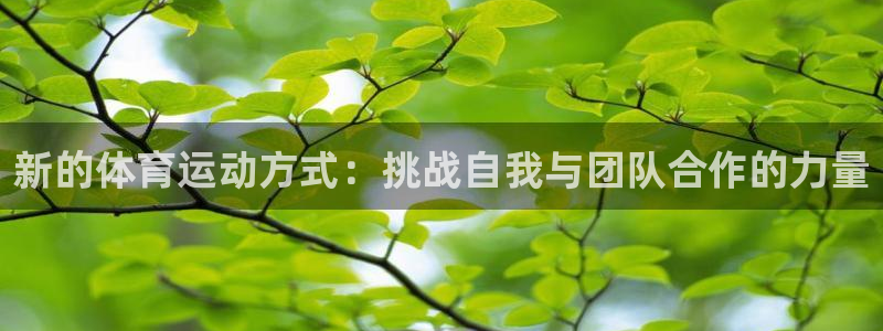 3377体育手机平台