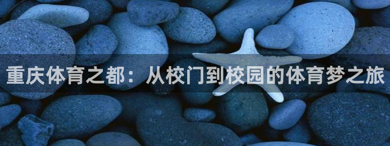 3377体育官网入口下载最新