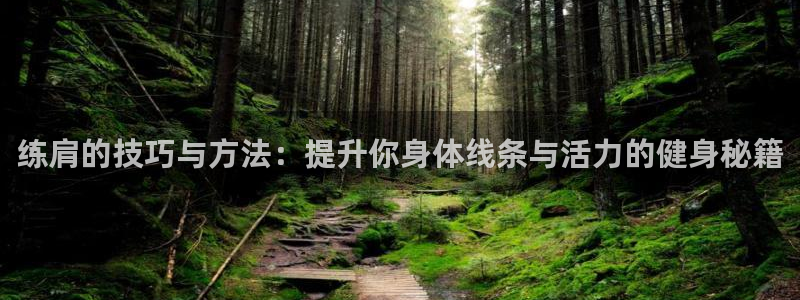 3377体育是正规的吗
