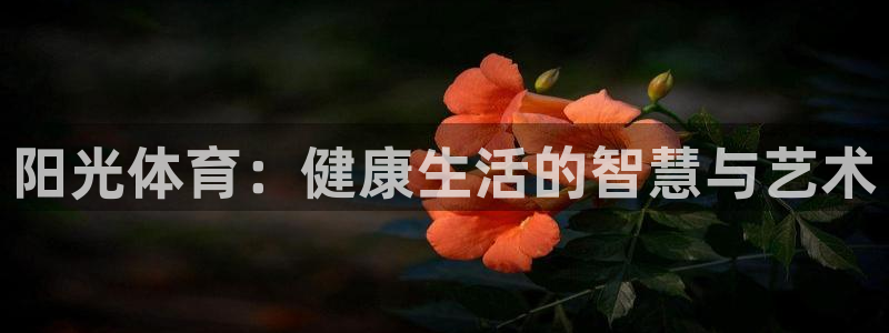 3377体育app官网下载地址