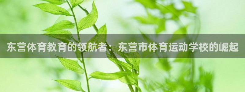 3377体育中国官方网站入口：东营体育教育的领航者：东营市体育运动学校的崛起