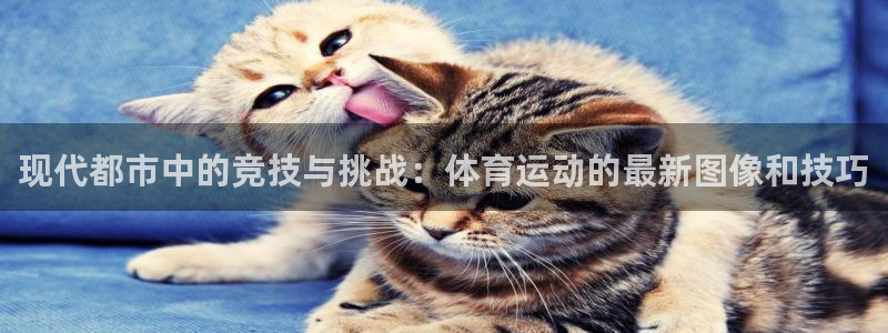 3377体育官网下载：现代都市中的竞技与挑战：体育运动的最新图像和技巧